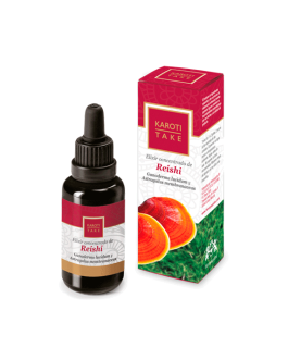 Reishi Elixir · Karoti Take Hiranyagarba · 30 ml