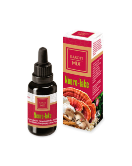 Neuro-Take · Elixir · Karoti Take · Hiranyagarba · 30 ml