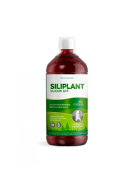 Silicium G7 Siliplant Silicium España 1 litro, Herbolario Casillas